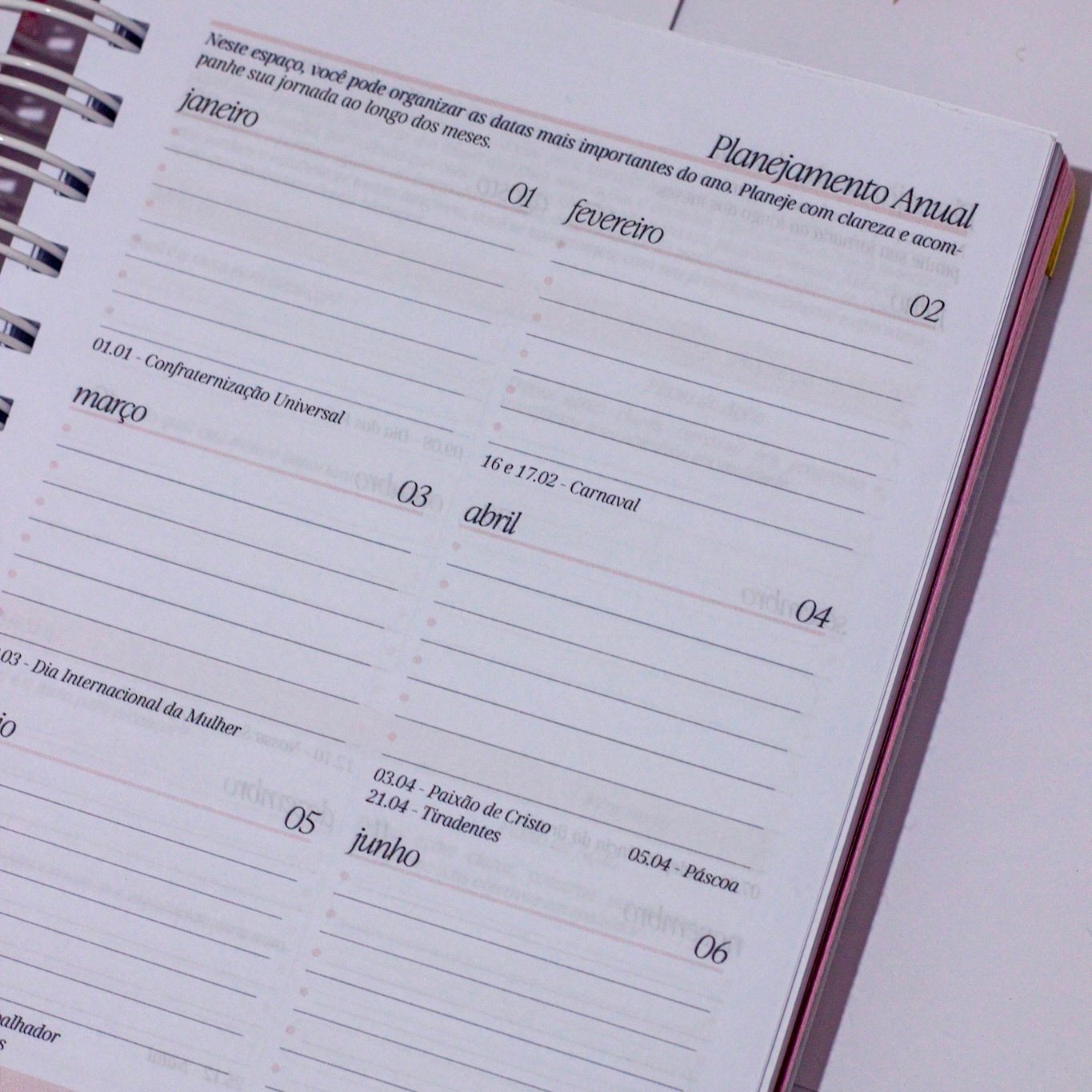 Agenda 1 dia por página - 2026 - Image 4